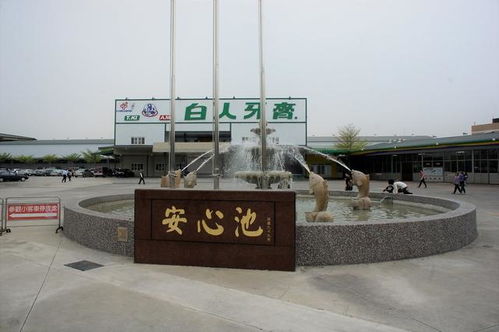 特立獨(dú)行的白人牙膏觀光工廠 工業(yè)旅游中的清新美學(xué)